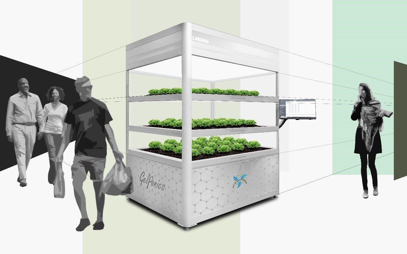 Gelponics Project Aims To Decarbonise Hydroponics Chap